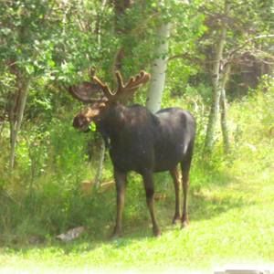 Meet your Posher, Luanne